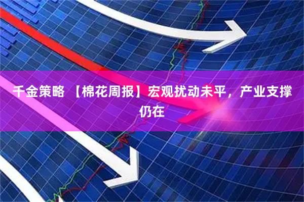 千金策略 【棉花周报】宏观扰动未平,产业支撑仍在
