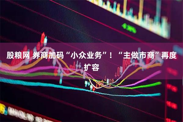 股粮网 券商加码“小众业务”！“主做市商”再度扩容