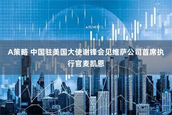 A策略 中国驻美国大使谢锋会见维萨公司首席执行官麦凯恩