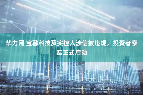 华力网 宝馨科技及实控人涉信披违规，投资者索赔正式启动