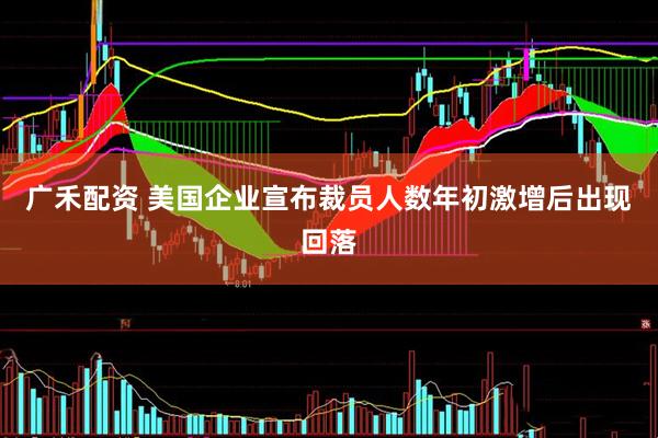 广禾配资 美国企业宣布裁员人数年初激增后出现回落