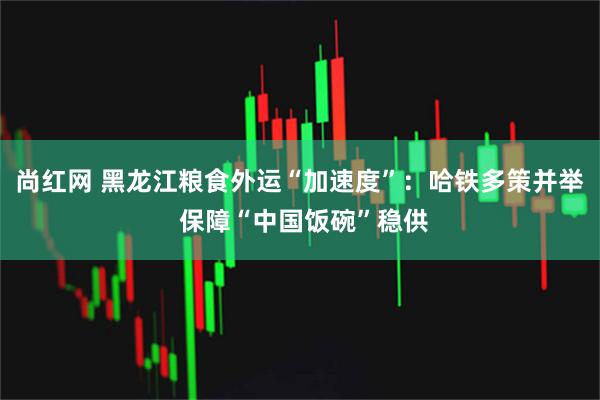 尚红网 黑龙江粮食外运“加速度”：哈铁多策并举 保障“中国饭碗”稳供