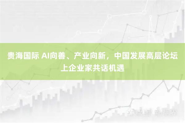 贵海国际 AI向善、产业向新，中国发展高层论坛上企业家共话机遇