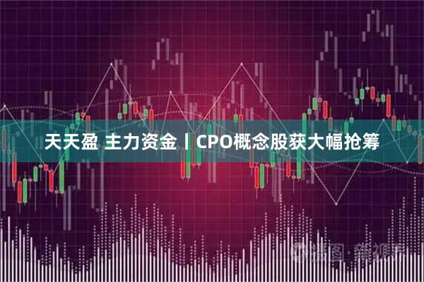 天天盈 主力资金丨CPO概念股获大幅抢筹
