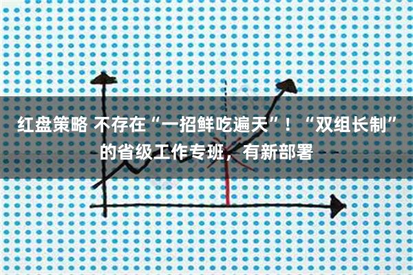 红盘策略 不存在“一招鲜吃遍天”！“双组长制”的省级工作专班，有新部署
