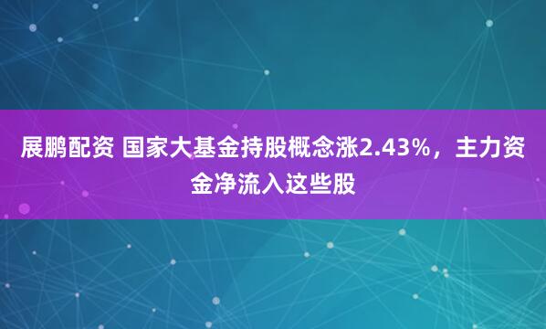 展鹏配资 国家大基金持股概念涨2.43%,主力资金净流入这些股