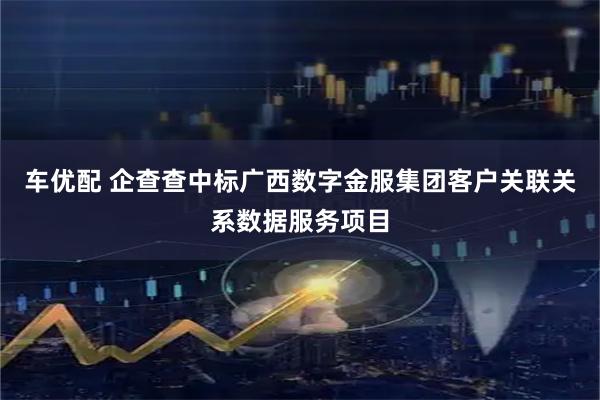 车优配 企查查中标广西数字金服集团客户关联关系数据服务项目
