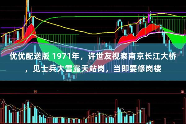 优优配送版 1971年，许世友视察南京长江大桥，见士兵大雪露天站岗，当即要修岗楼